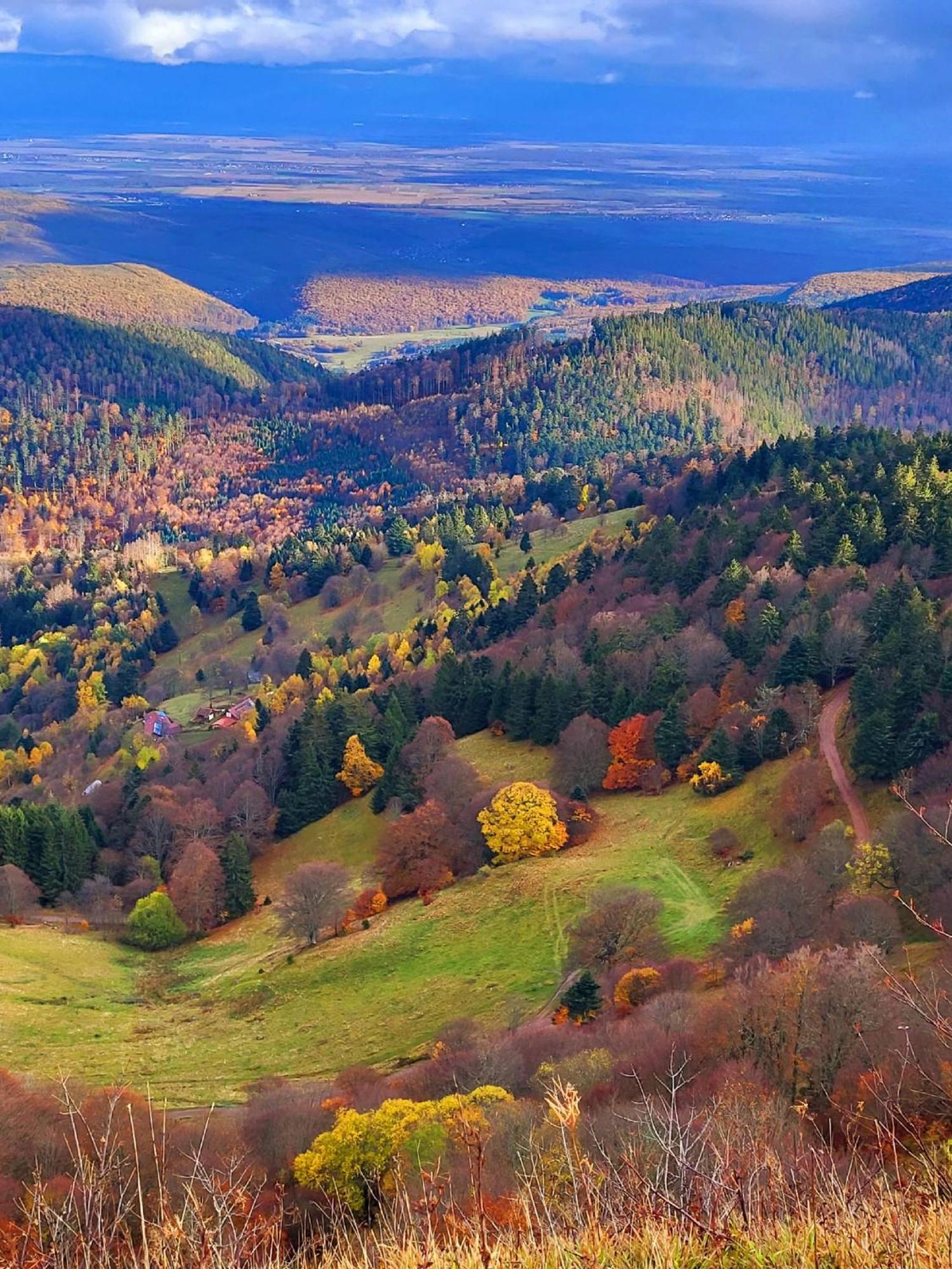 Le Panorama Du Murat Mulhouse Riedisheim 68 Haut-Rhin Alsace Saint-Louis Экстерьер фото